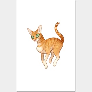 Cozy Orange Tabby Posters and Art